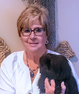 County Auditor and dog image