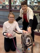 County Top Dog Winner image